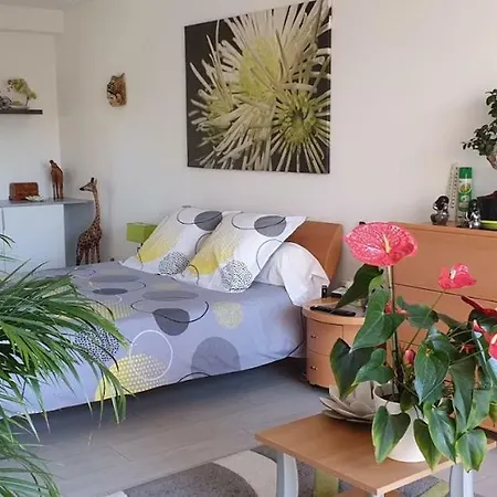 D'hotes Chez Pat Et Nanou Bed & Breakfast 4*
